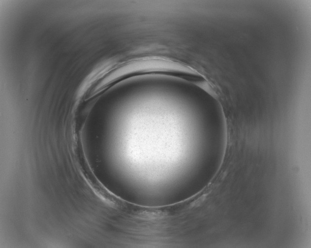 X0000082680245200702021234