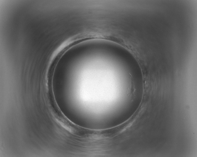 X0000082680246200702021234