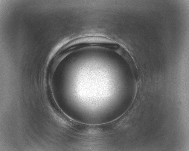 X0000082680248200702021234
