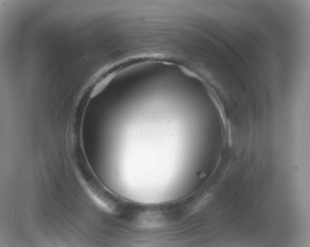 X0000082680252200702021234