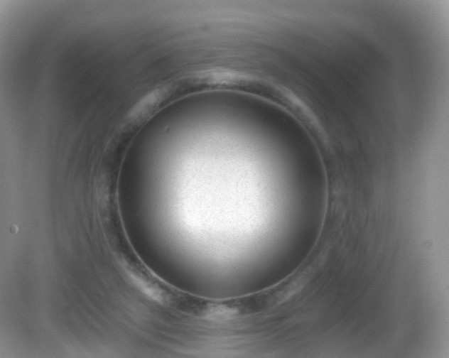 X0000082680257200702021234