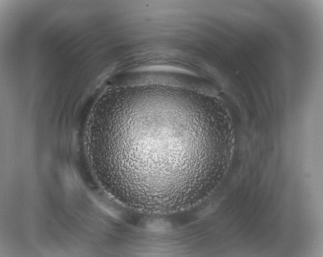 X0000082680258200702021234