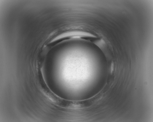 X0000082680260200702021234