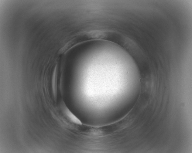 X0000082680263200702021234