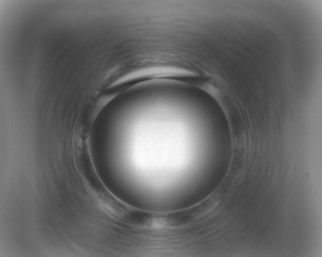 X0000082680264200702021234