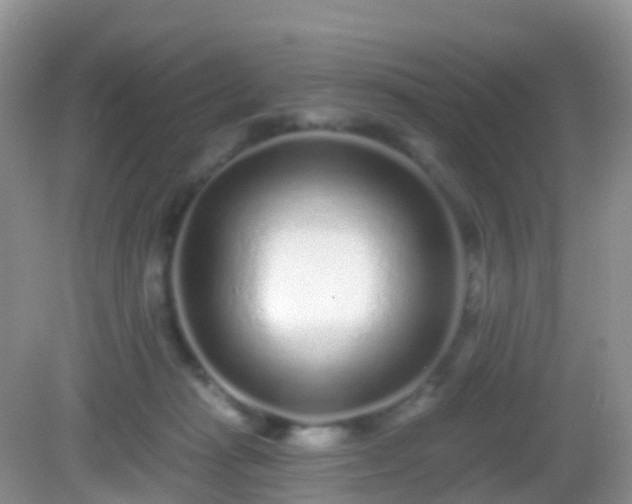 X0000082680269200702021234