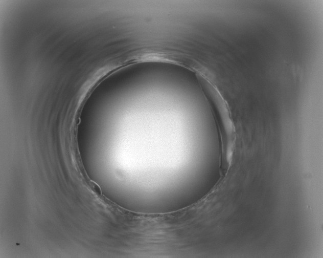 X0000082680289200702021234