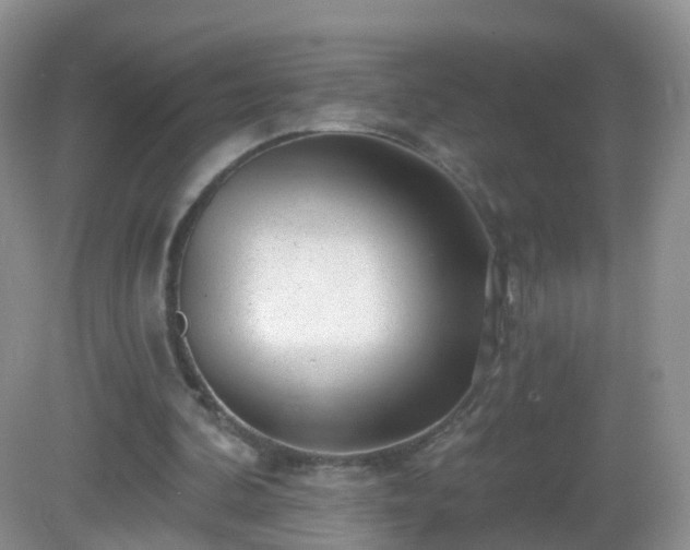 X0000082680292200702021234