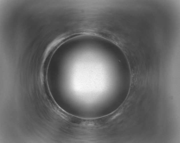 X0000082680294200702021234