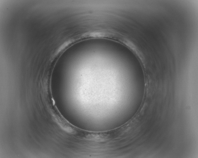 X0000082680297200702021234