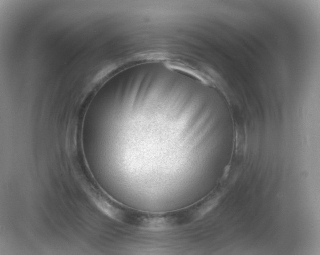 X0000082680301200702021233