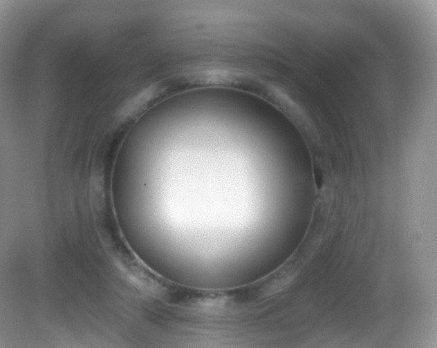 X0000082680306200702021233