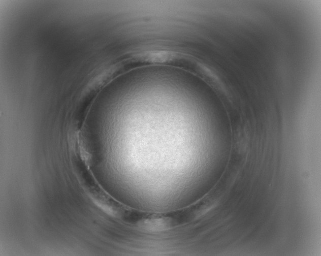X0000082680307200702021233