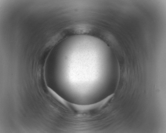 X0000082680315200702021233