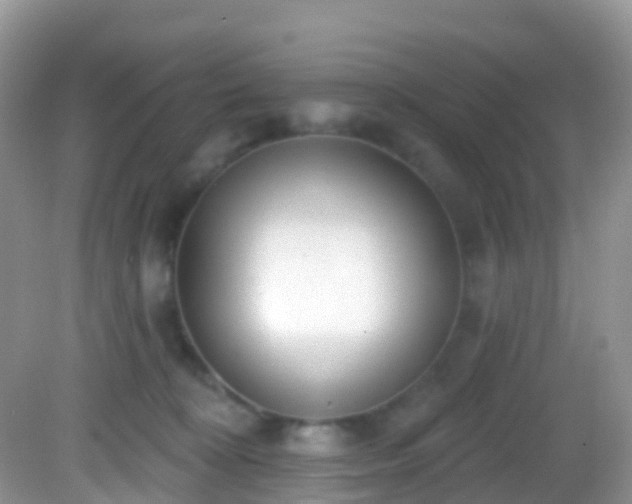 X0000082680324200702021233