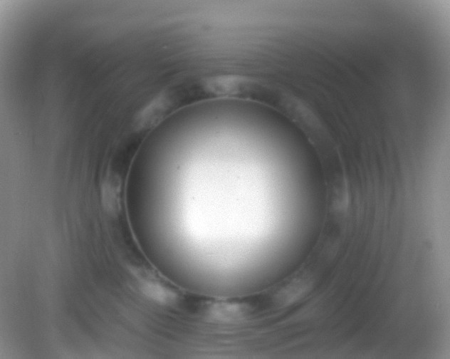 X0000082680332200702021233