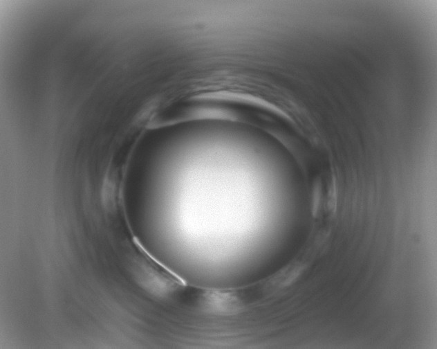 X0000082680333200702021233
