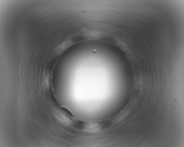 X0000082680334200702021233