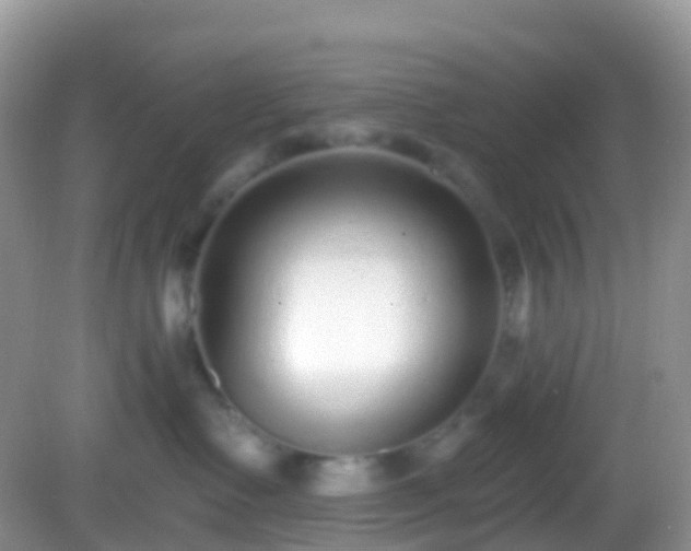 X0000082680335200702021233
