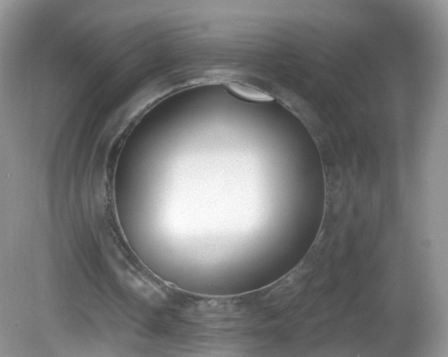 X0000082680338200702021232
