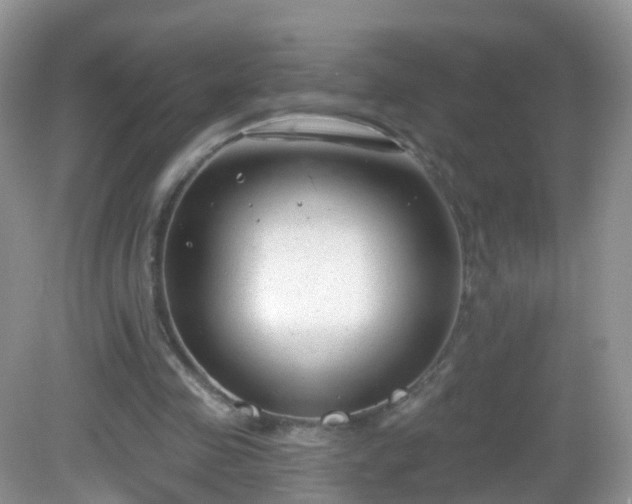 X0000082680341200702021232