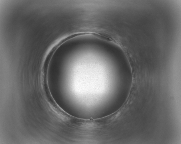 X0000082680342200702021232