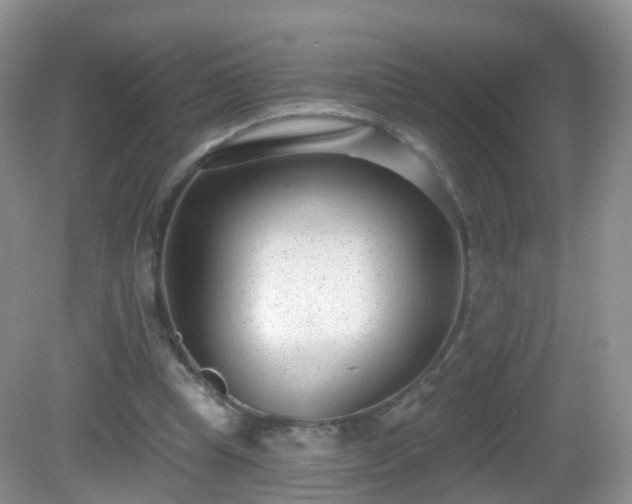 X0000082680345200702021232
