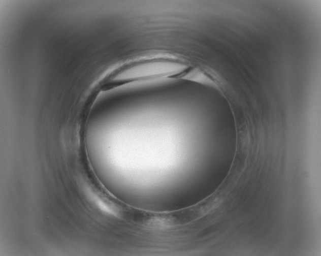 X0000082680350200702021232
