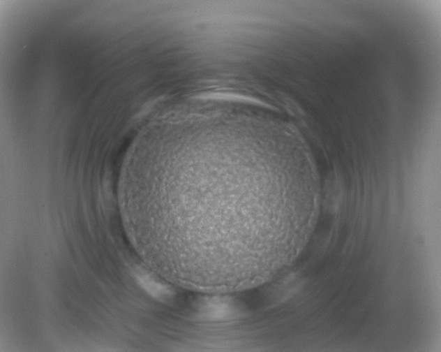 X0000082680377200702021233