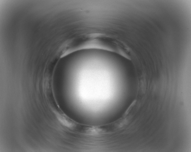 X0000082680379200702021233