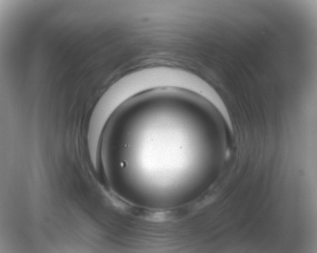 X0000082680382200702021233