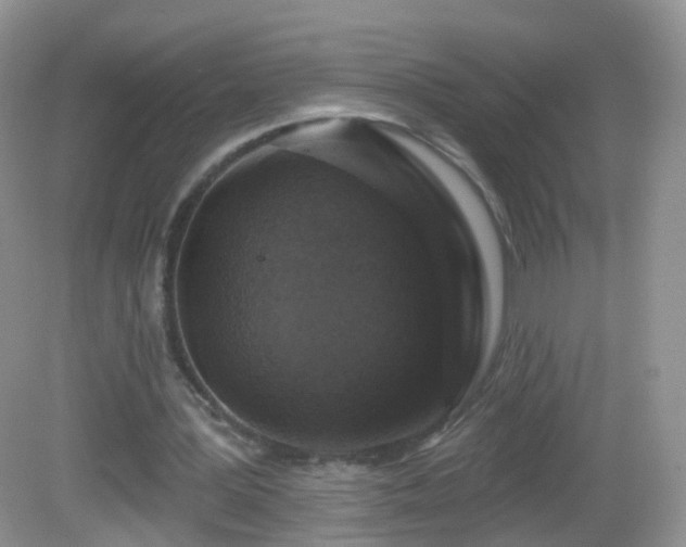 X0000082680387200702021232