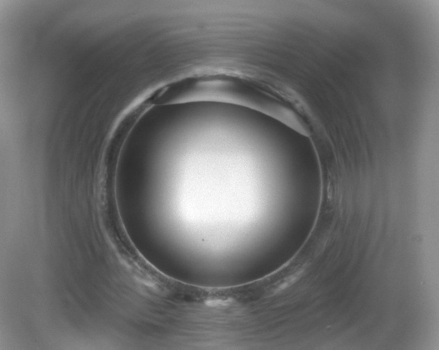 X0000082680388200702021232