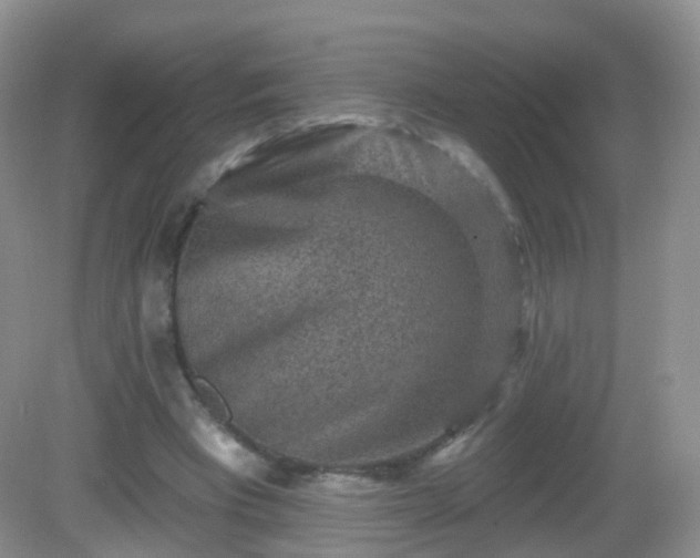 X0000082680393200702021232