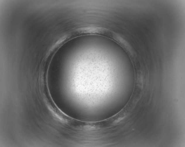 X0000082680394200702021232