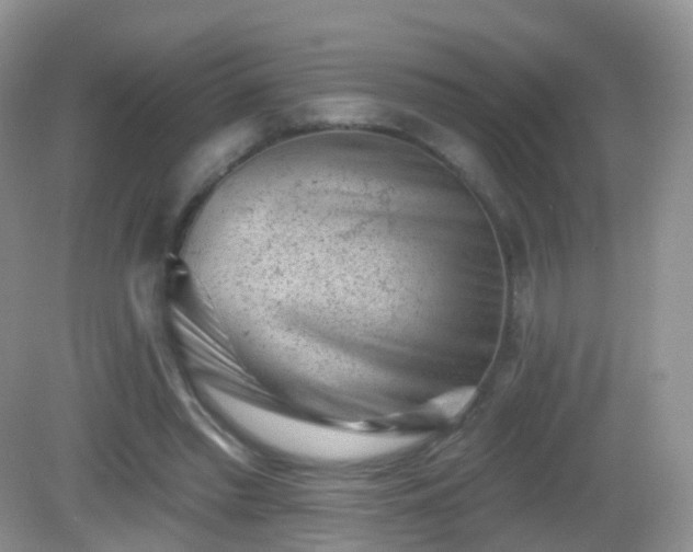 X0000082680397200702021232