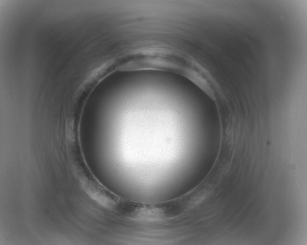 X0000082680403200702021232