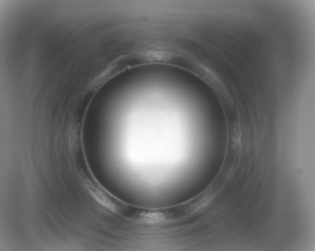 X0000082680409200702021232
