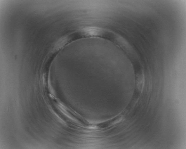X0000082680410200702021232