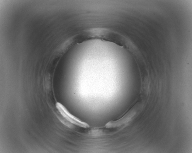 X0000082680413200702021232