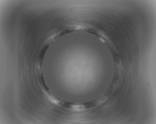 X0000082680415200702021232