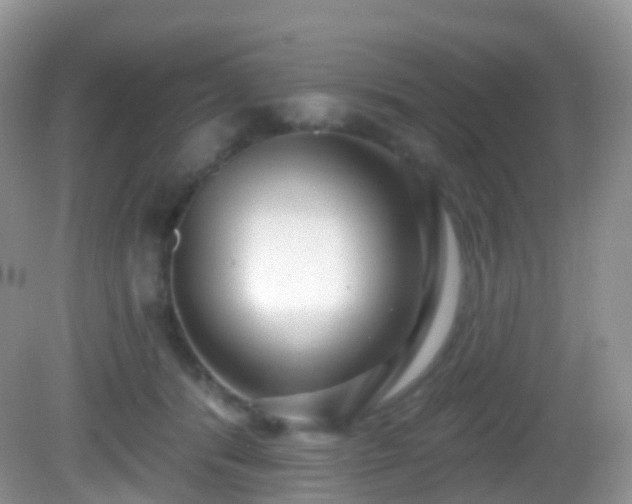 X0000082680416200702021232