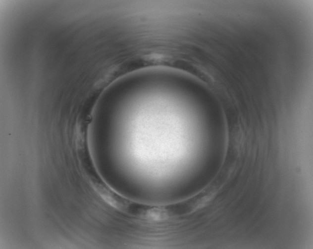 X0000082680420200702021231