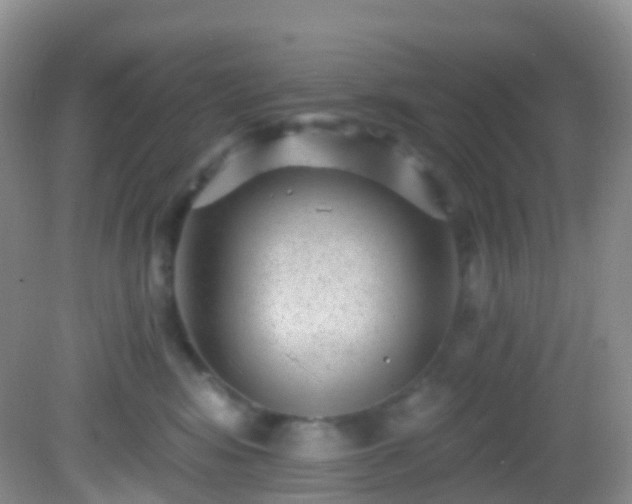 X0000082680424200702021231