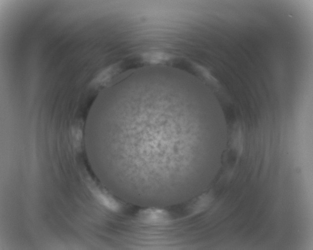 X0000082680427200702021231