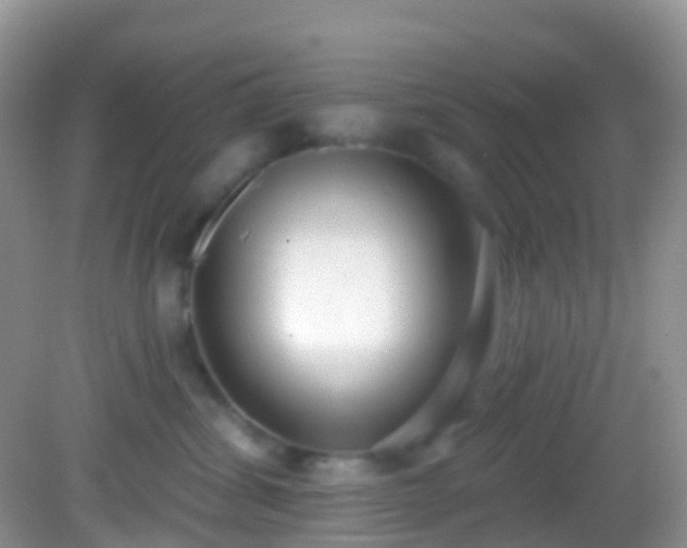X0000082680428200702021231