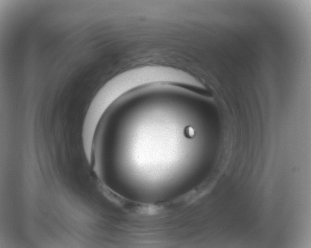 X0000082680432200702021231