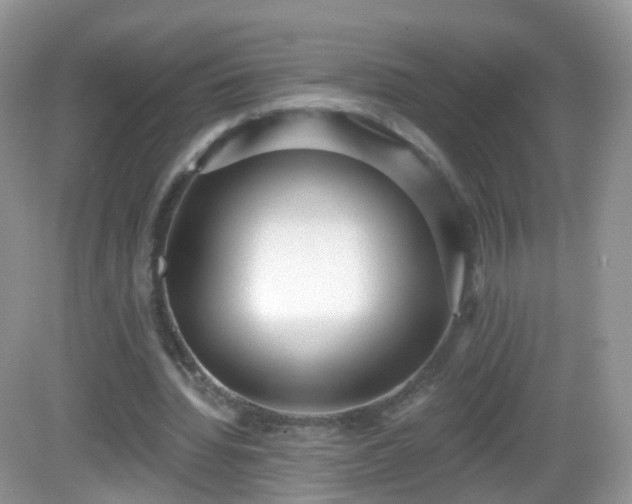 X0000082680436200702021230