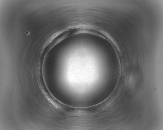 X0000082680437200702021231
