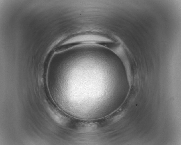 X0000082680443200702021231